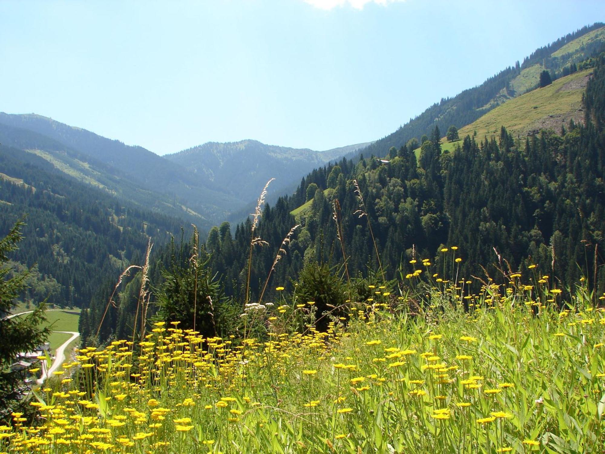 Chalet Huski Viehhofen Saalbach-Hinterglemm Buitenkant foto